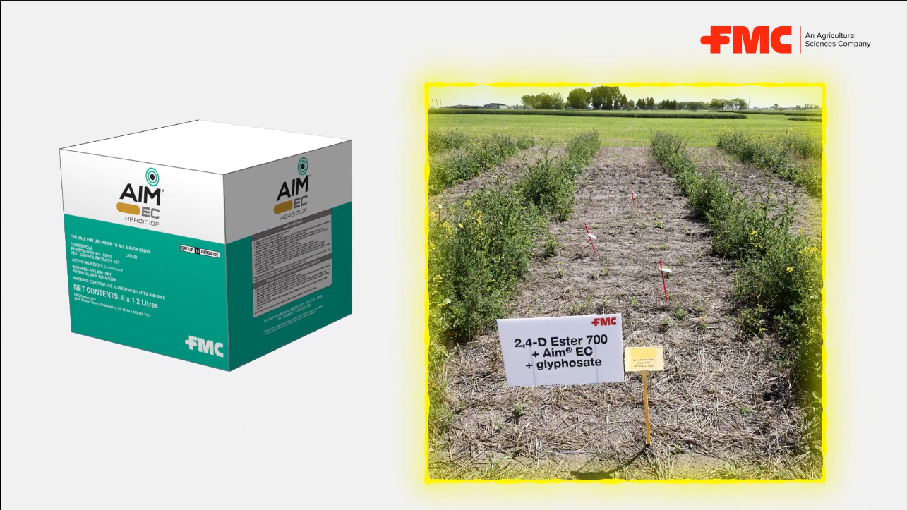Aim® EC Herbicide The Cornerstone of a Spring Weed Control Program
